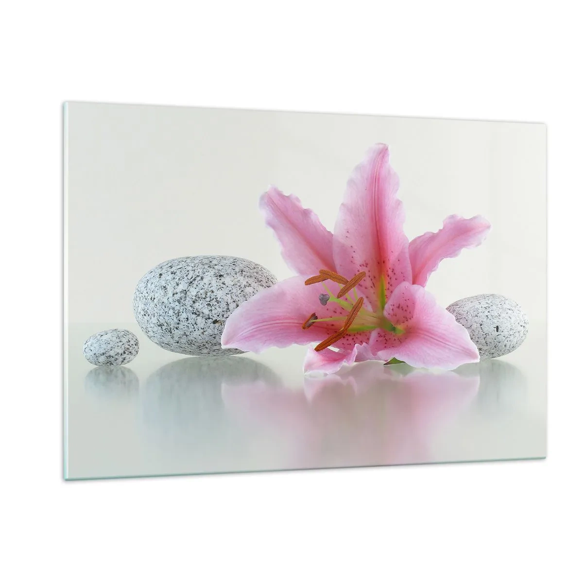 Glastavla - Bild på glas - En studie i rosa, grå och vit - 120x80 cm