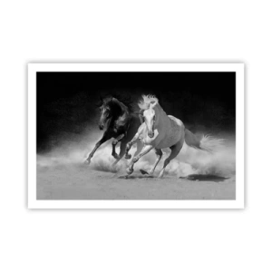 Affisch - Frihetens galopp - 91x61 cm