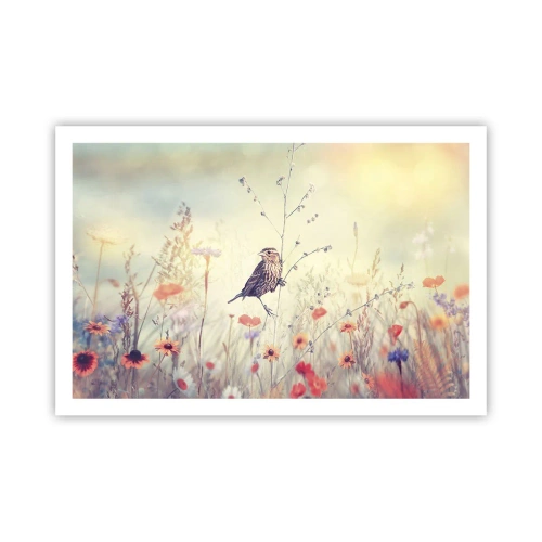 Affisch - Fågelporträtt med en äng i bakgrunden - 91x61 cm