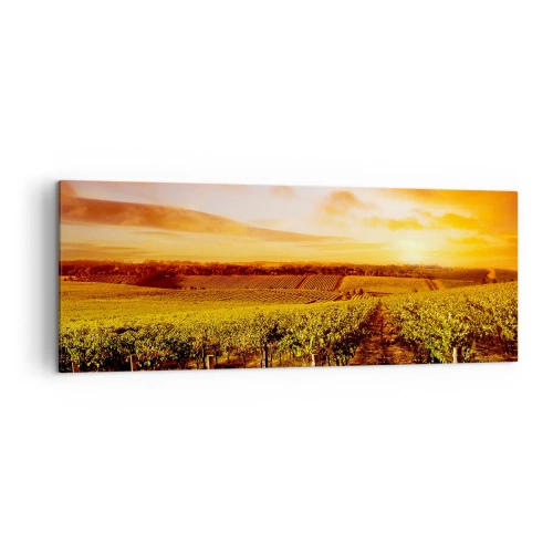 Canvastavla - Bild på duk - Fina druvor med en gnutta sol - 140x50 cm