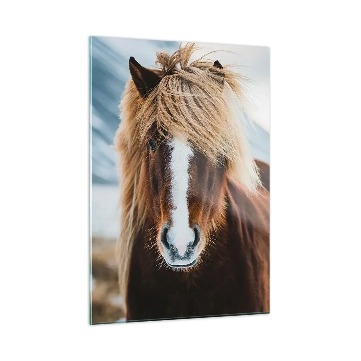 Glastavla - Bild på glas - Känner du friheten? - 50x70 cm