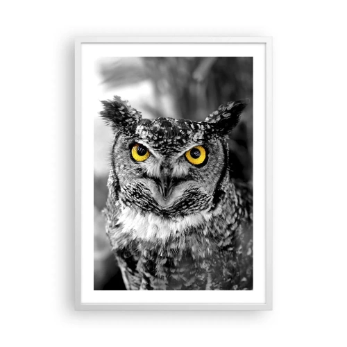 Affisch i vit ram - Inget kommer undan - 50x70 cm