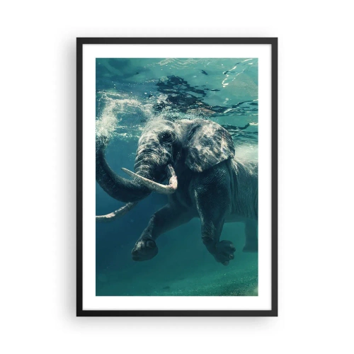 Affisch i svart ram - En elefant som simmar i turkost vatten - 50x70cm - Alla tycker om att simma - Modern väggdekoration för vardagsrum och sovrum ARTTOR