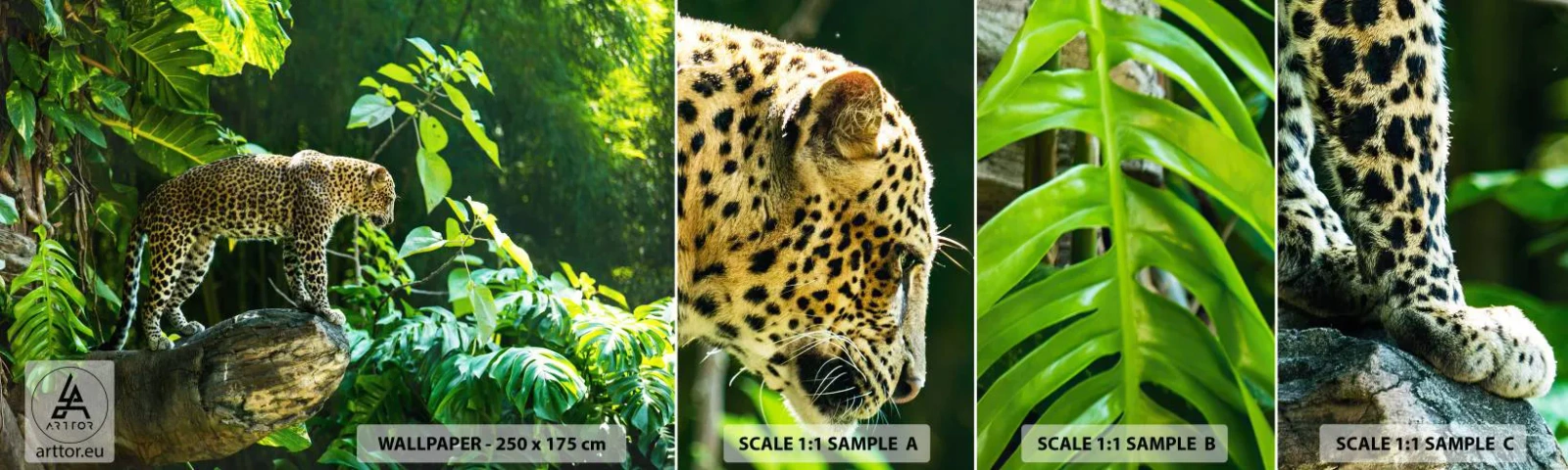 Provbit av självhäftande fototapet Deluxe Sticker - På jakt? - Djungel, leopard, Tropikerna - 100x30 cm