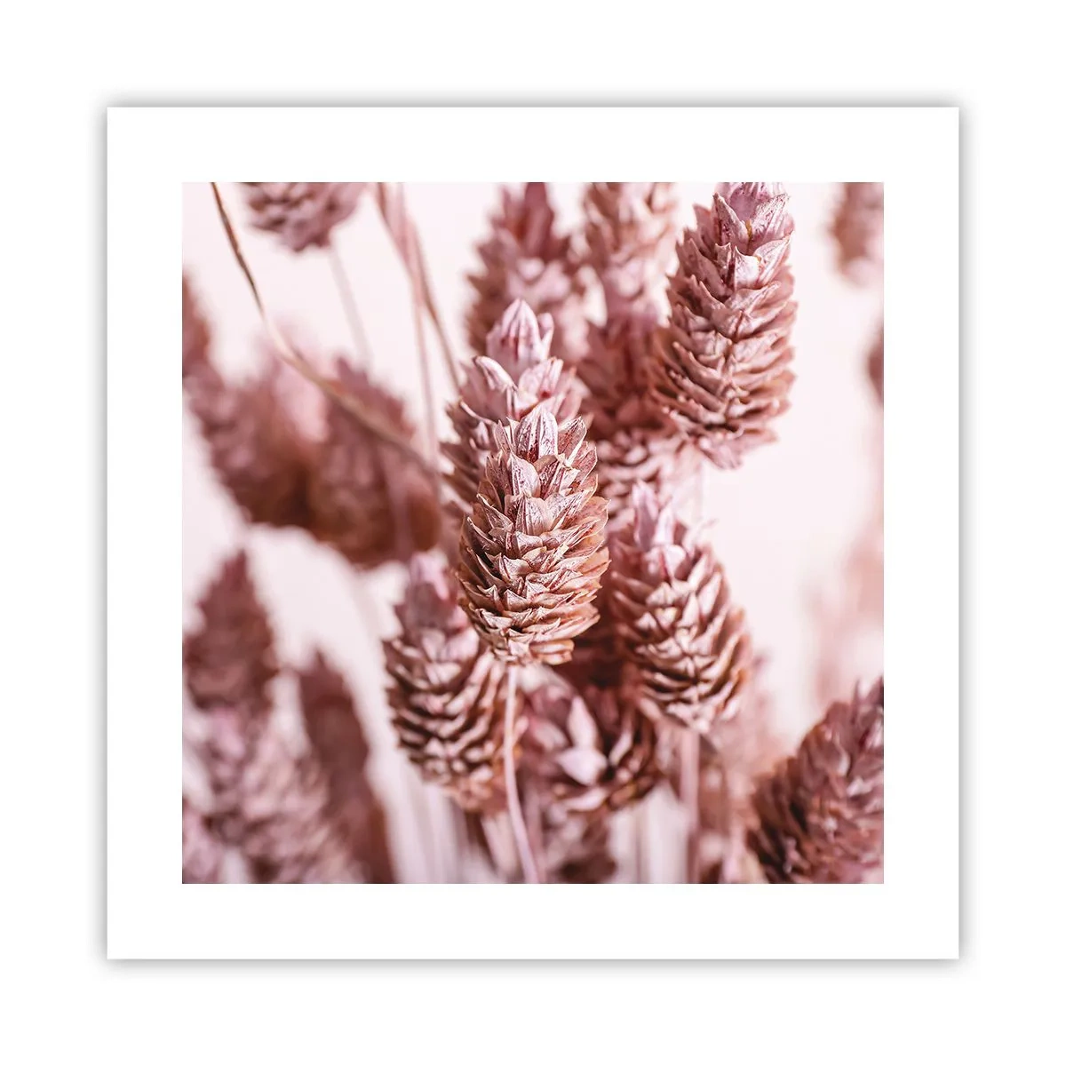 Affisch - Skenet bedrar - 40x40 cm