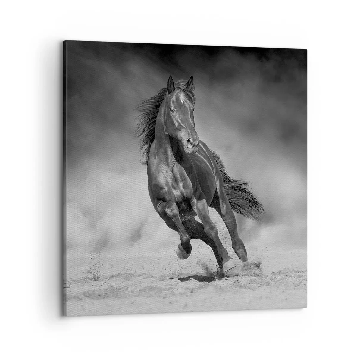 Canvastavla - Bild på duk - Värd själva emiren - 50x50 cm