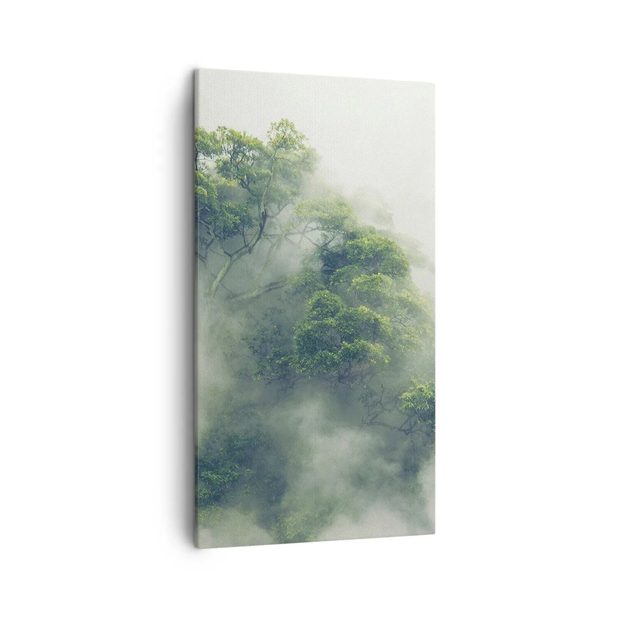 Canvastavla - Bild på duk - Insvept i dimma - 45x80 cm
