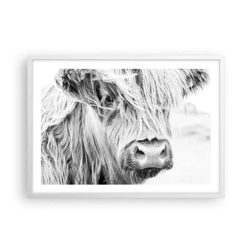 Affisch i vit ram - Skotsk vildhet - 70x50 cm