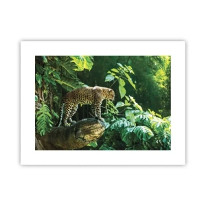 Affisch - På jakt? - 40x30 cm