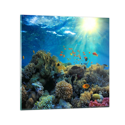 Glastavla - Bild på glas - Undervatenskatter - 50x50 cm