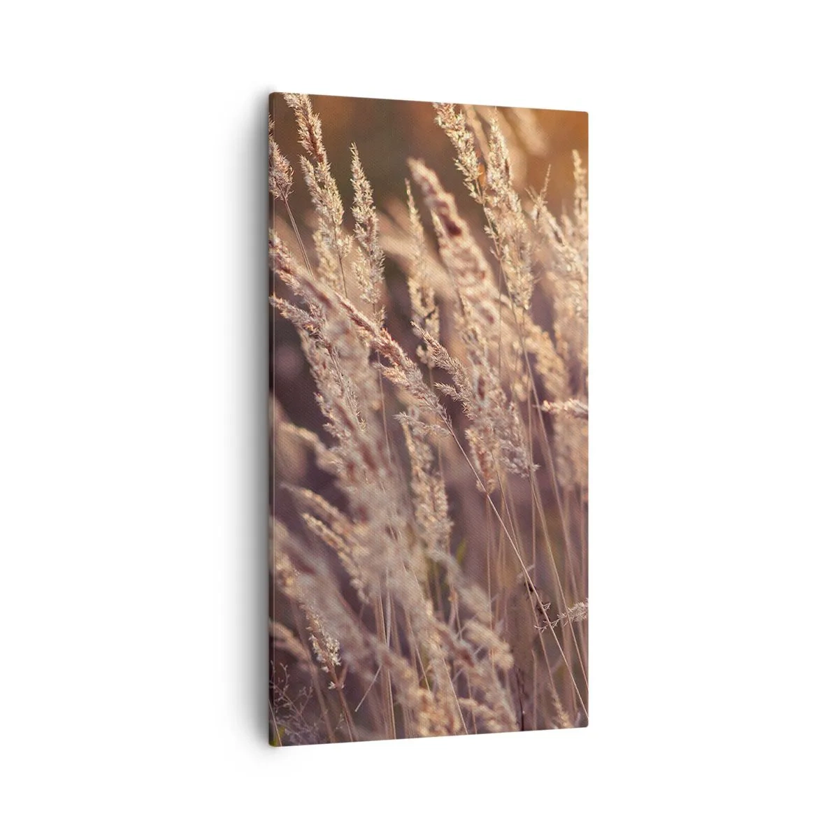 Canvastavla - Bild på duk - Redo att välkomna hösten - 55x100 cm