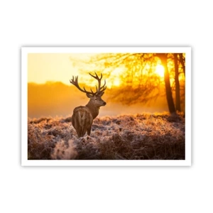 Affisch - Höstskogens kung - 100x70 cm