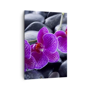 Canvastavla - Bild på duk - Stenarna har bleknat av beundran - 70x100 cm