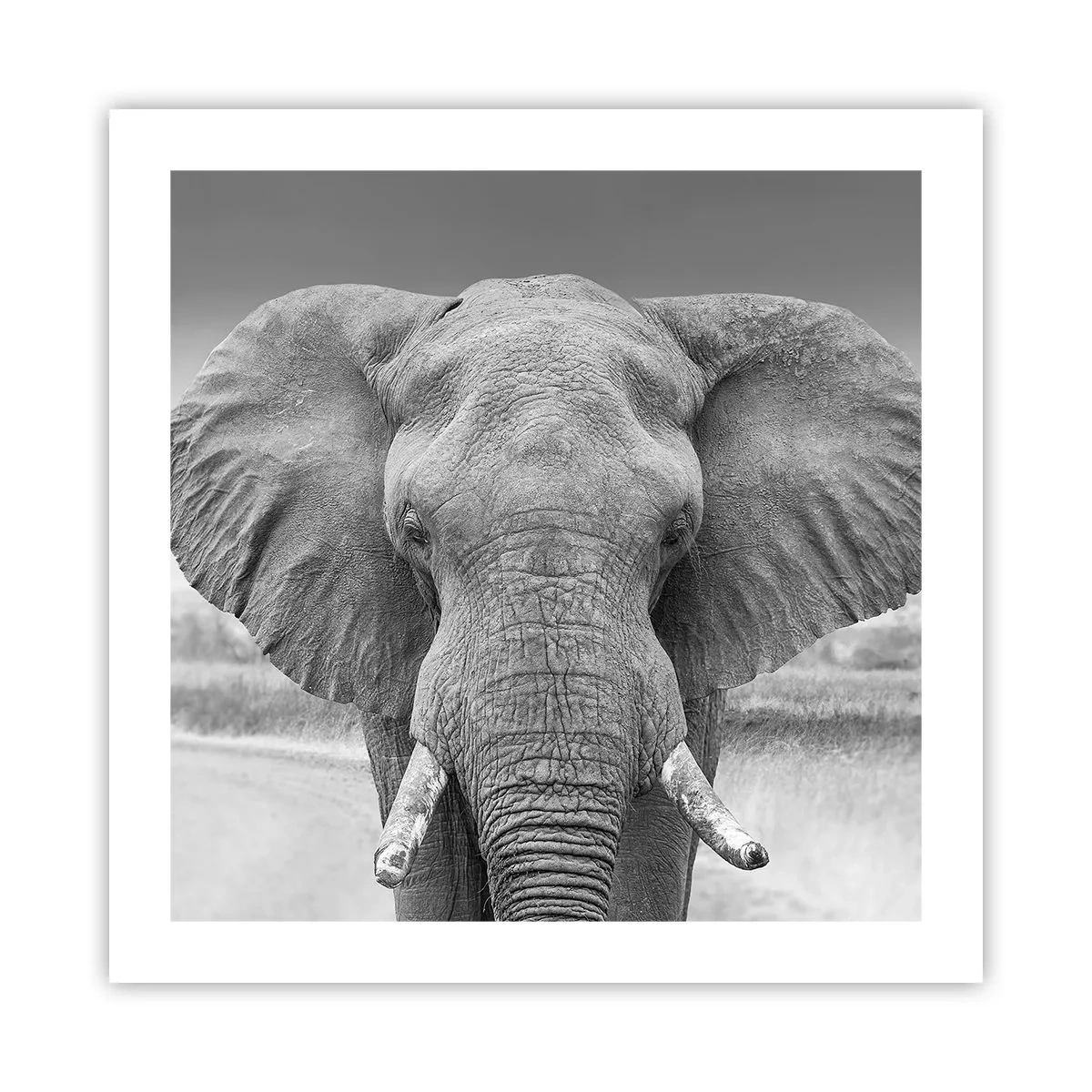 Affisch - Välkommen till min värld - 50x50 cm