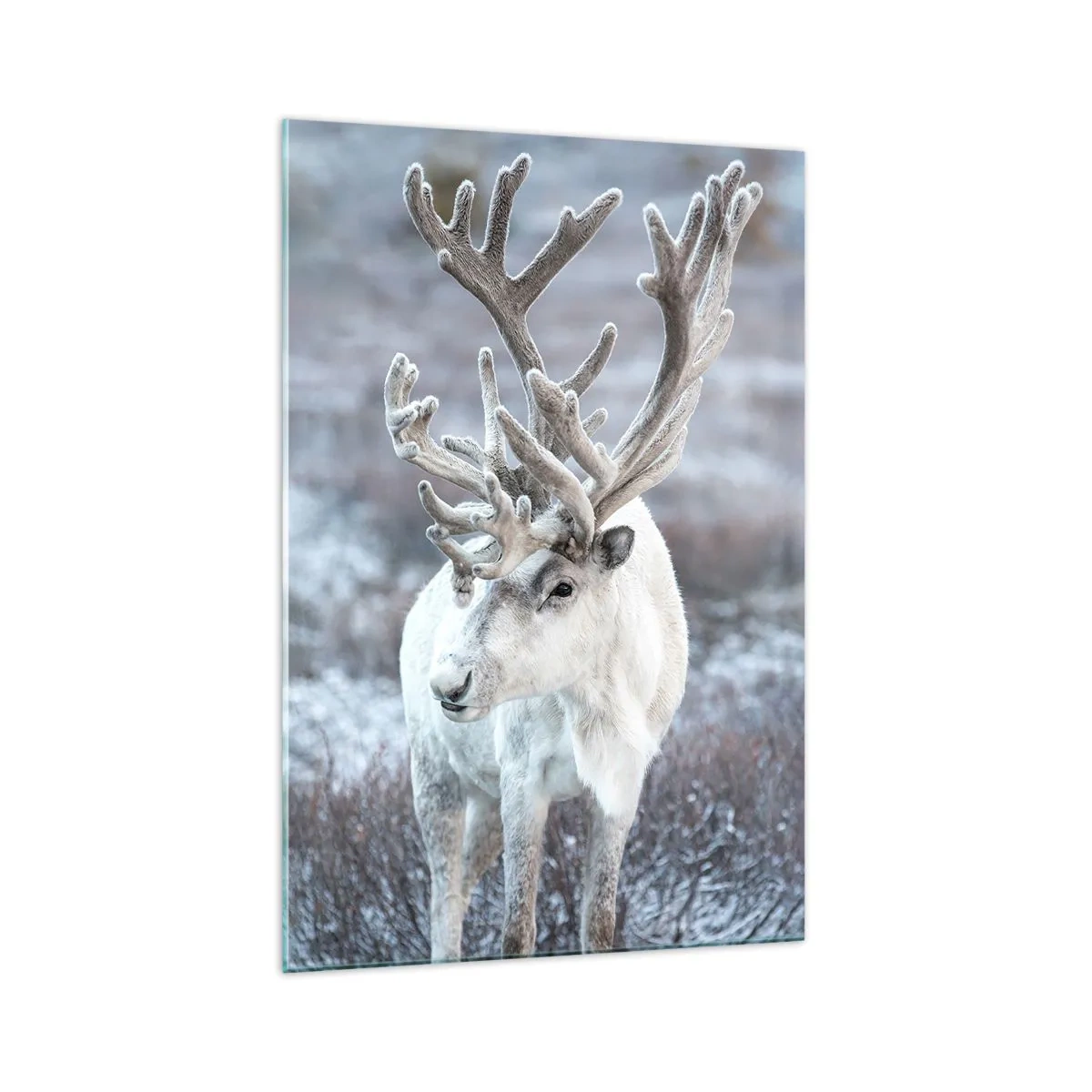 Glastavla - Bild på glas - Porträtt i solsken - 70x100 cm