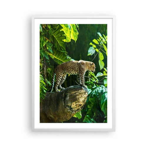 Affisch i vit ram - På jakt? - 50x70 cm