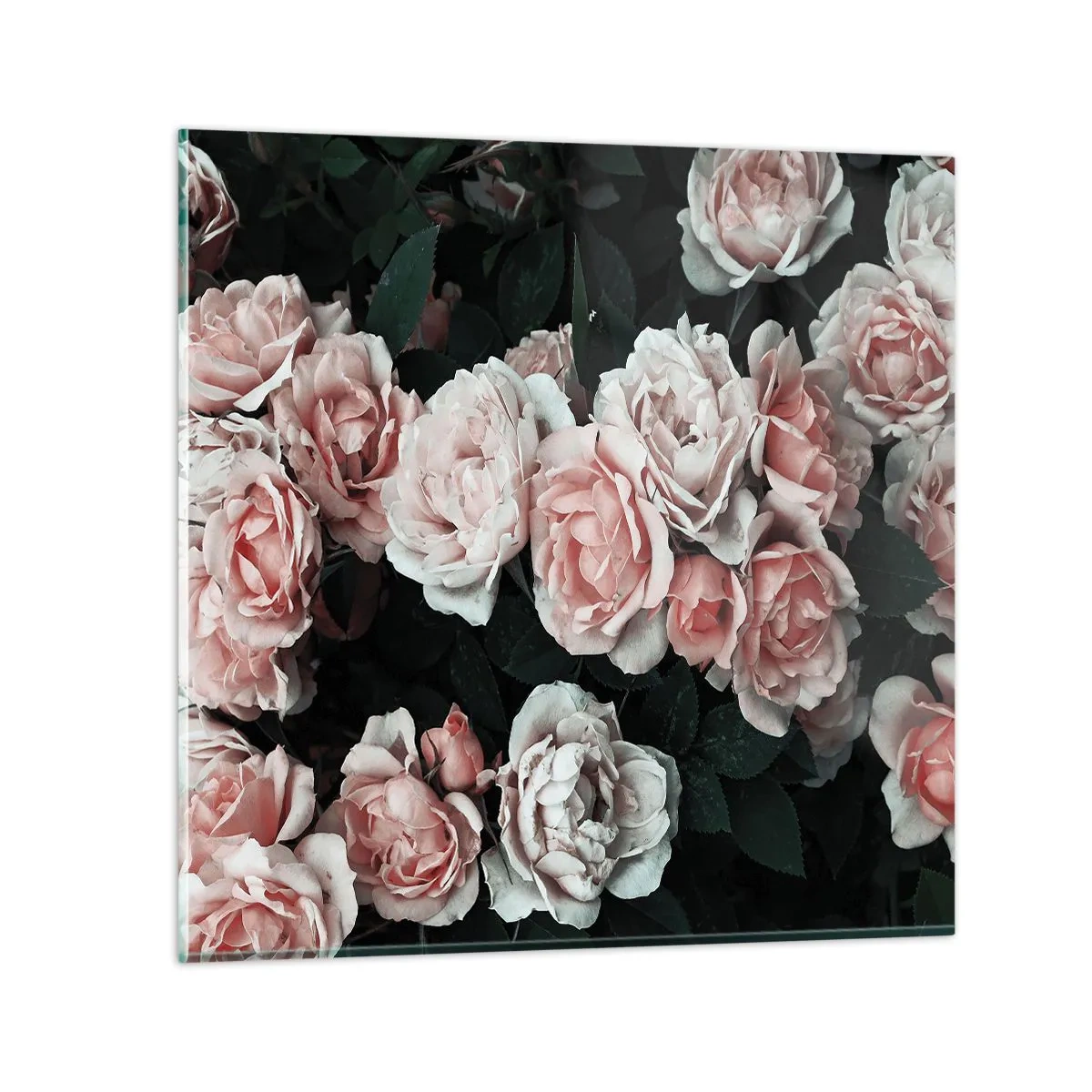 Glastavla - Bild på glas - Rosansamble - 30x30 cm