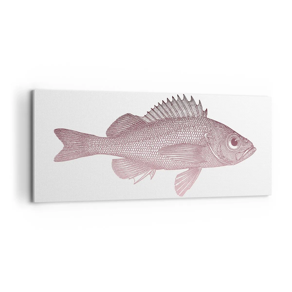 Canvastavla - Bild på duk - Storögd fisk - 100x40 cm