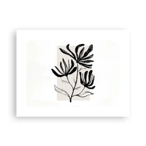 Affisch - Skiss för ett herbarium - 40x30 cm