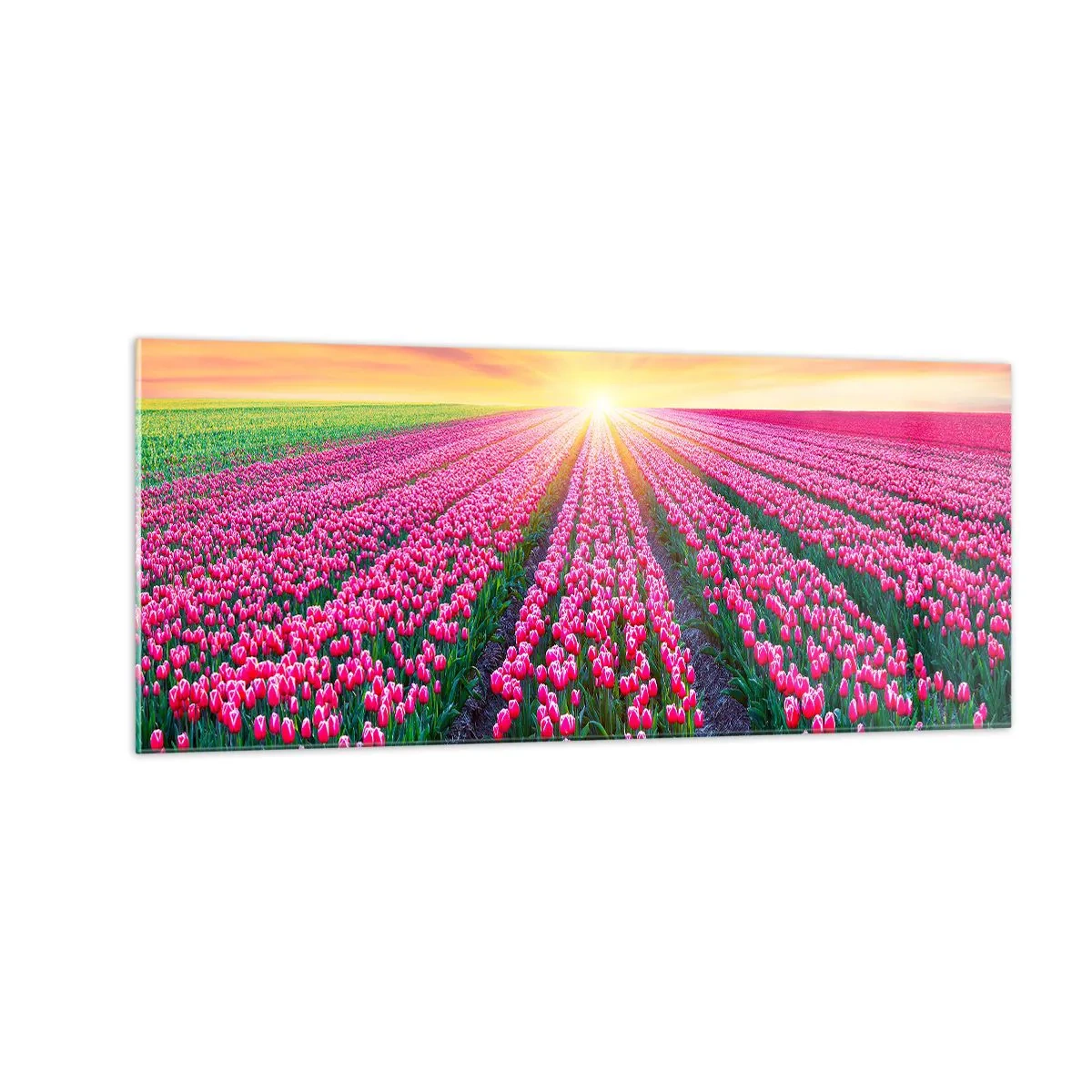 Glastavla - Bild på glas - Skönhetsfarmen - 100x40 cm