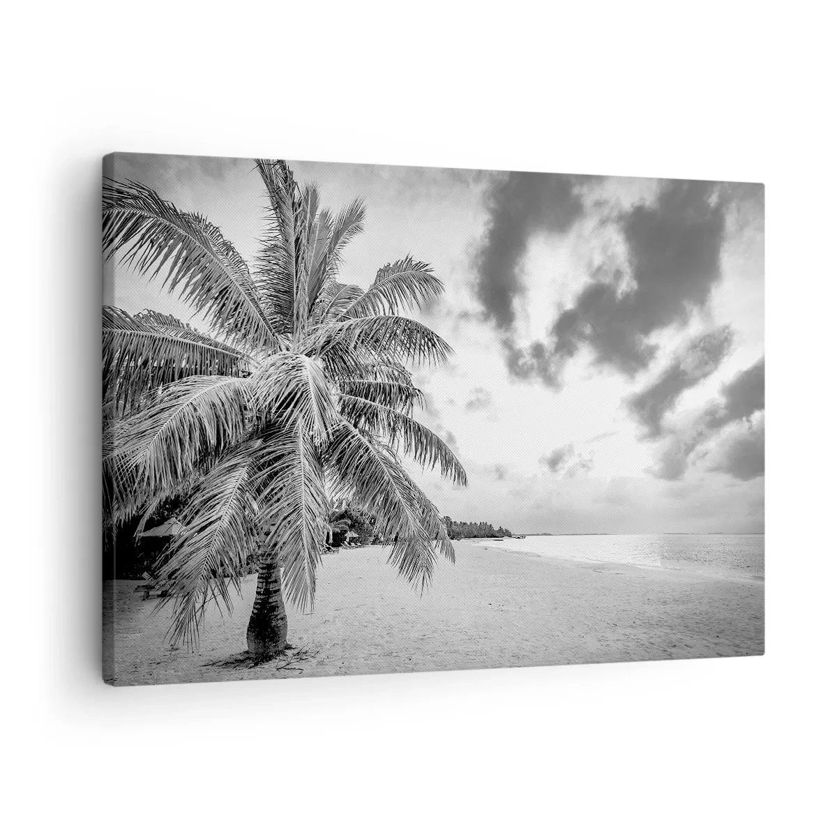 Canvastavla - Bild på duk - Svartvit palmträd på en tom strand med moln - 70x50cm - När du längtar efter ensamheten... - Modern väggdekoration för vardagsrum och sovrum ARTTOR
