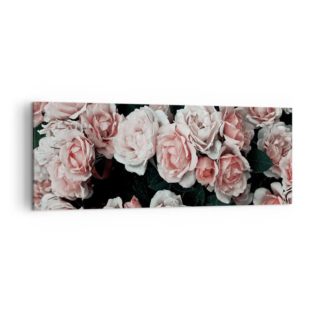 Canvastavla - Bild på duk - Rosansamble - 140x50 cm