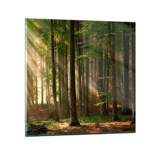 Glastavla - Bild på glas - Utstrålande på en vårmorgon - 30x30 cm