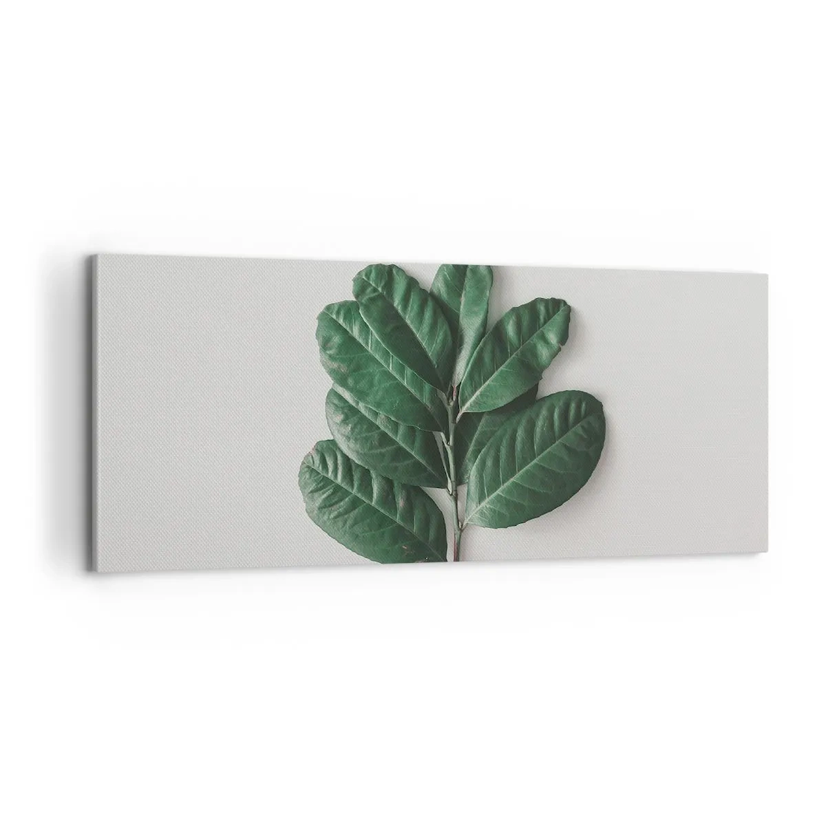 Canvastavla - Bild på duk - Själva naturens bild - 100x40 cm