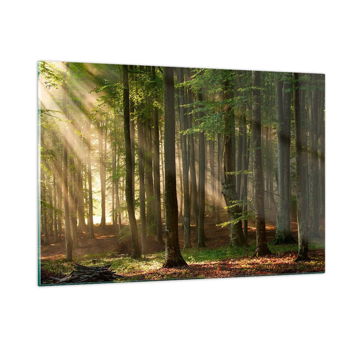 Glastavla - Bild på glas - Utstrålande på en vårmorgon - 120x80 cm