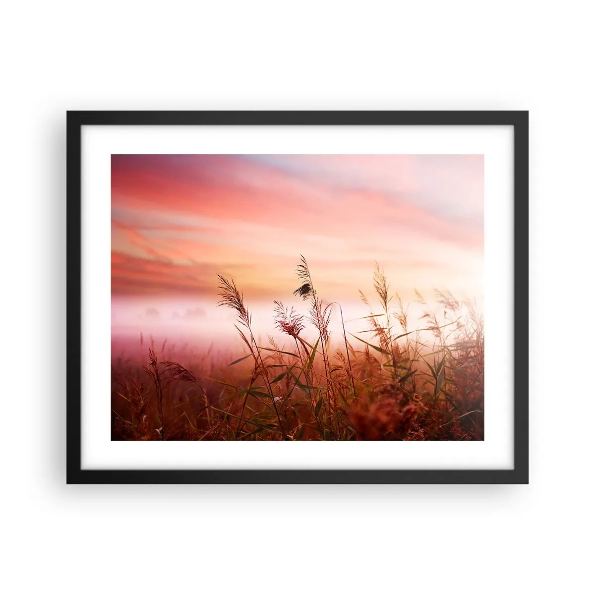 Affisch i svart ram - Drakar, maskrosor, vind - 50x40 cm