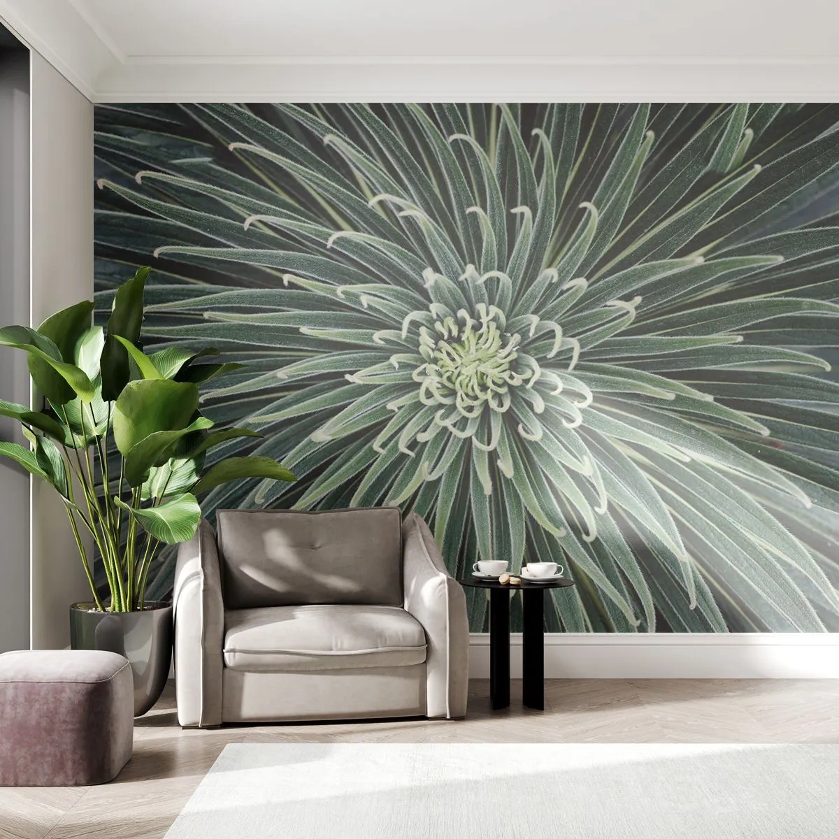 Fototapet Premium Canvas - Stjärna föds - Agave blomma, Agave, Blommor - 200x140 cm