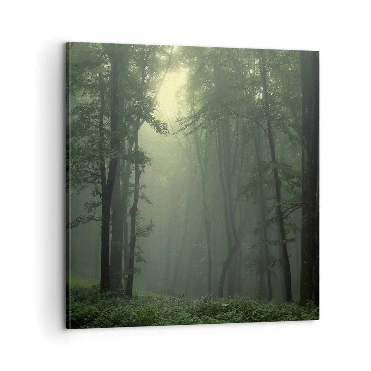 Canvastavla - Bild på duk - Innan skogen vaknar - 60x60 cm