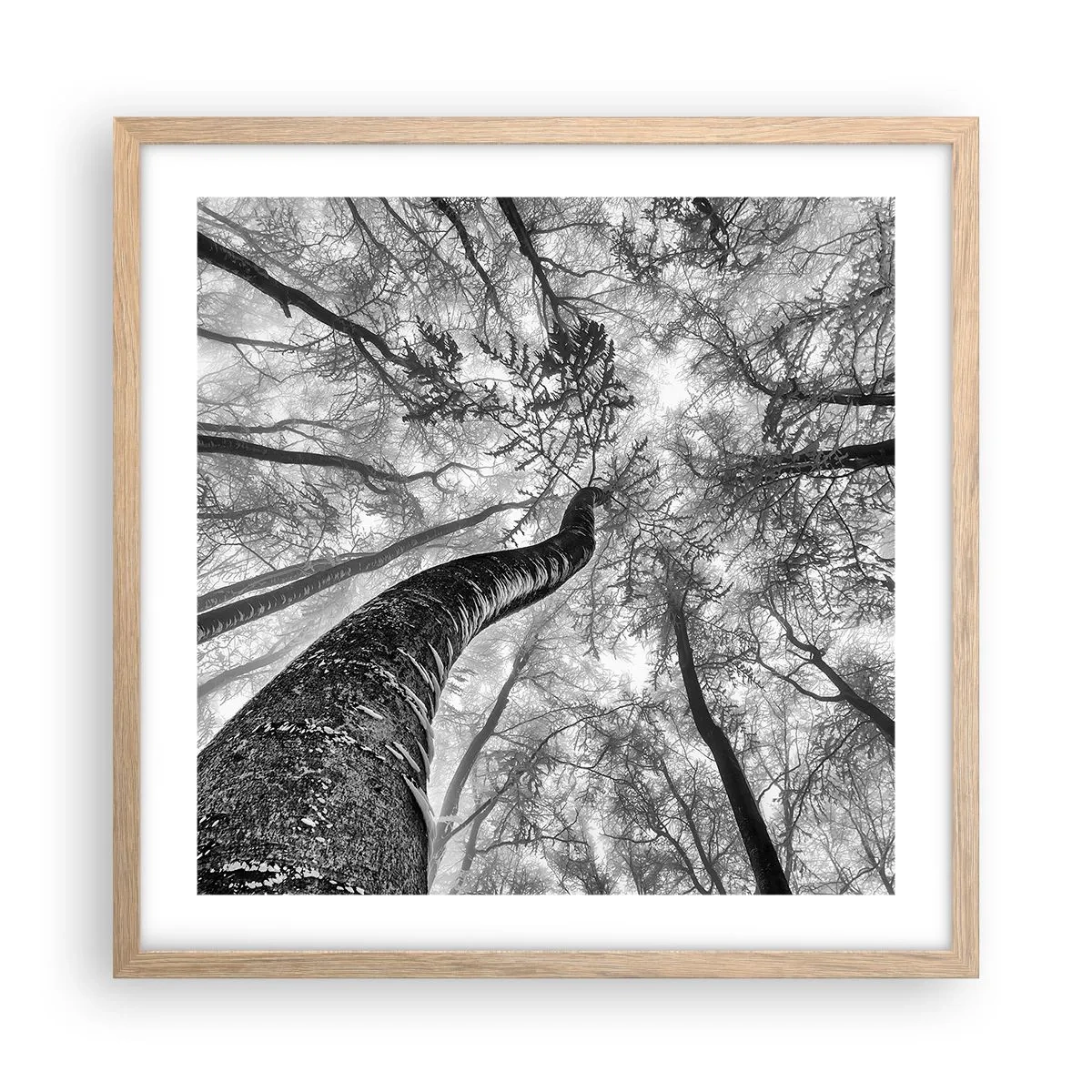 Affisch i ram av ljusek - Kapplöpning mot ljuset - 50x50 cm