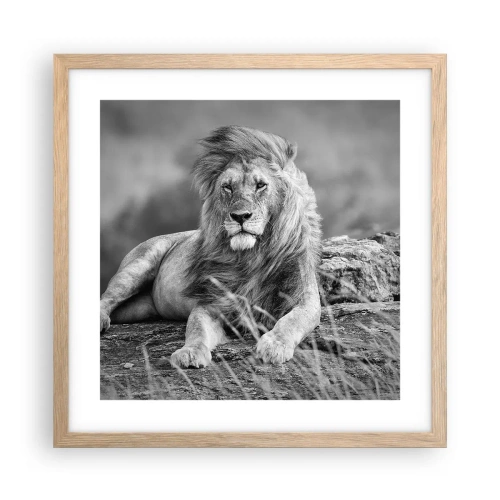 Affisch i ram av ljusek - Kunglig siesta - 40x40 cm