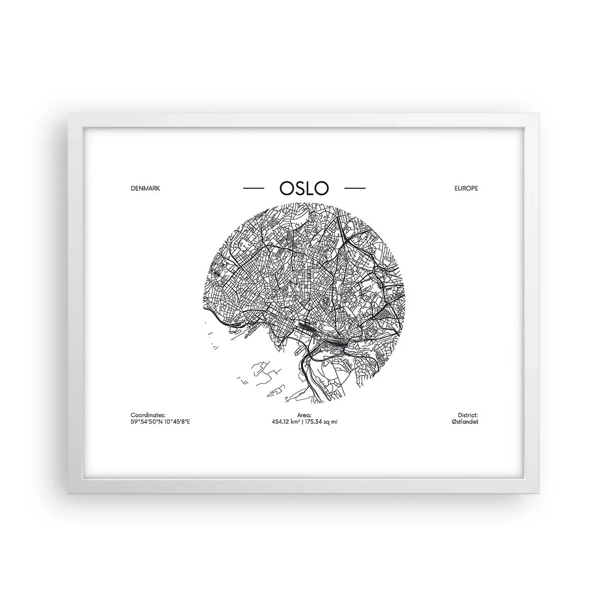 Affisch i vit ram - Oslos anatomi - 50x40 cm