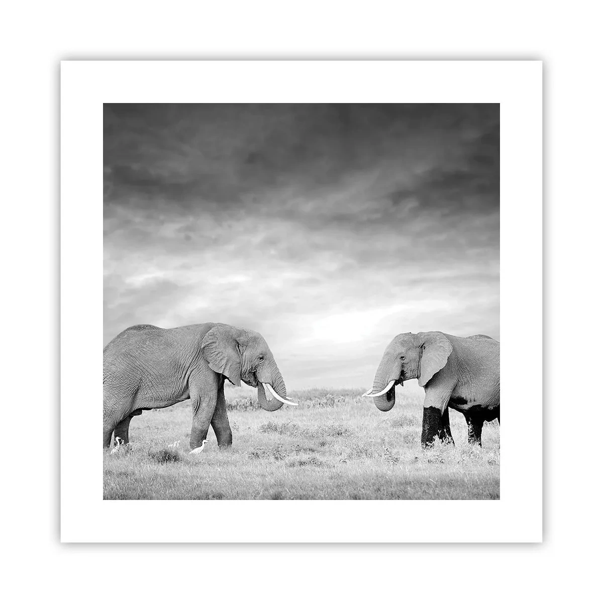 Affisch - Grått är vackert - 40x40 cm