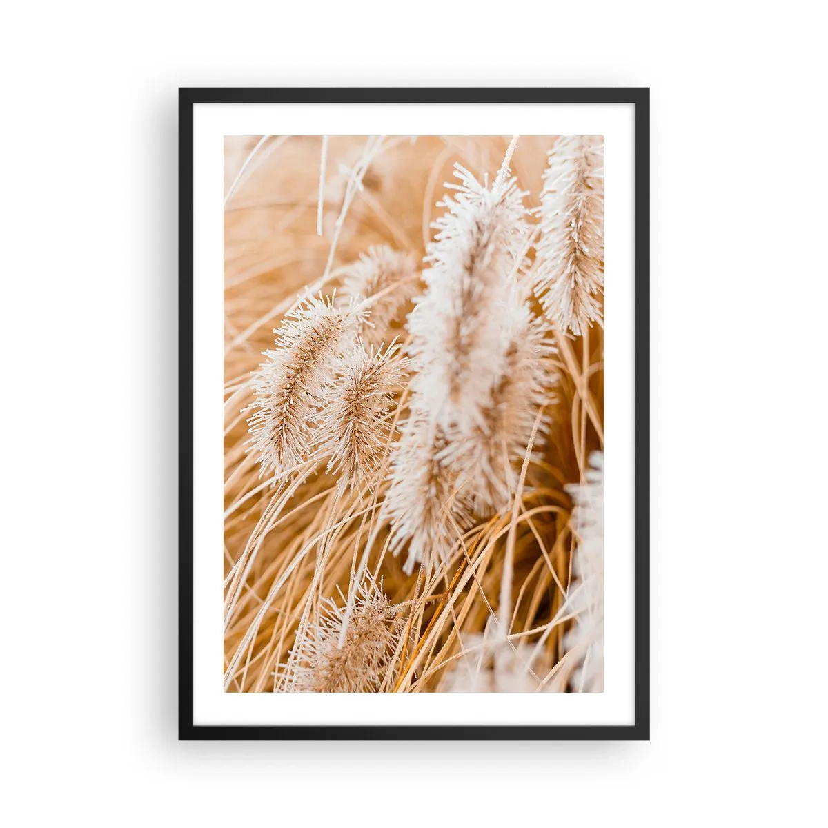 Affisch i svart ram - Fina grässpikar i pastellfärgade beige nyanser - 50x70cm - Gyllene gräsrassel - Modern väggdekoration för vardagsrum och sovrum ARTTOR