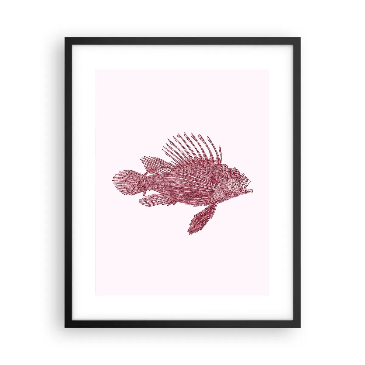 Affisch i svart ram - En invånare i exotiska vatten - 40x50 cm