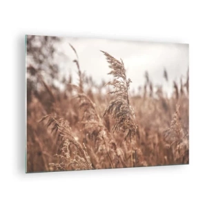 Glastavla - Bild på glas - Torkat gräs i vinden i naturens höstljus - 70x50cm - Hösten är framme på åkrarna - Modern väggdekoration för vardagsrum och sovrum ARTTOR
