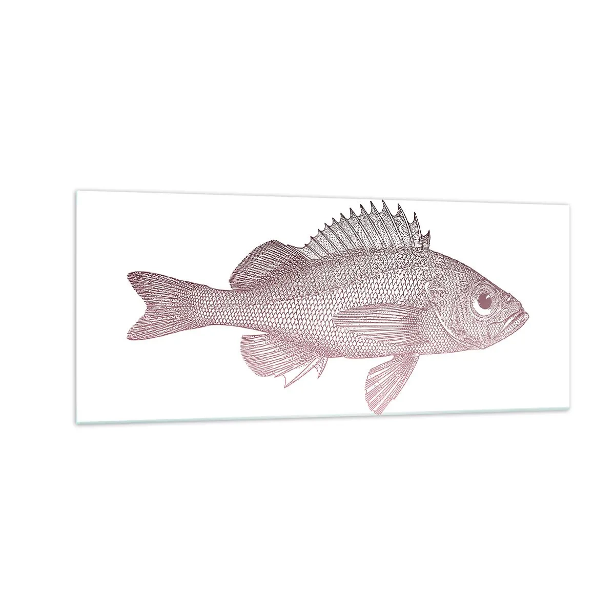 Glastavla - Bild på glas - Storögd fisk - 100x40 cm