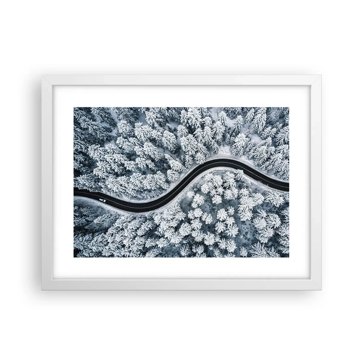 Affisch i vit ram - Genom vinterskogen - 40x30 cm