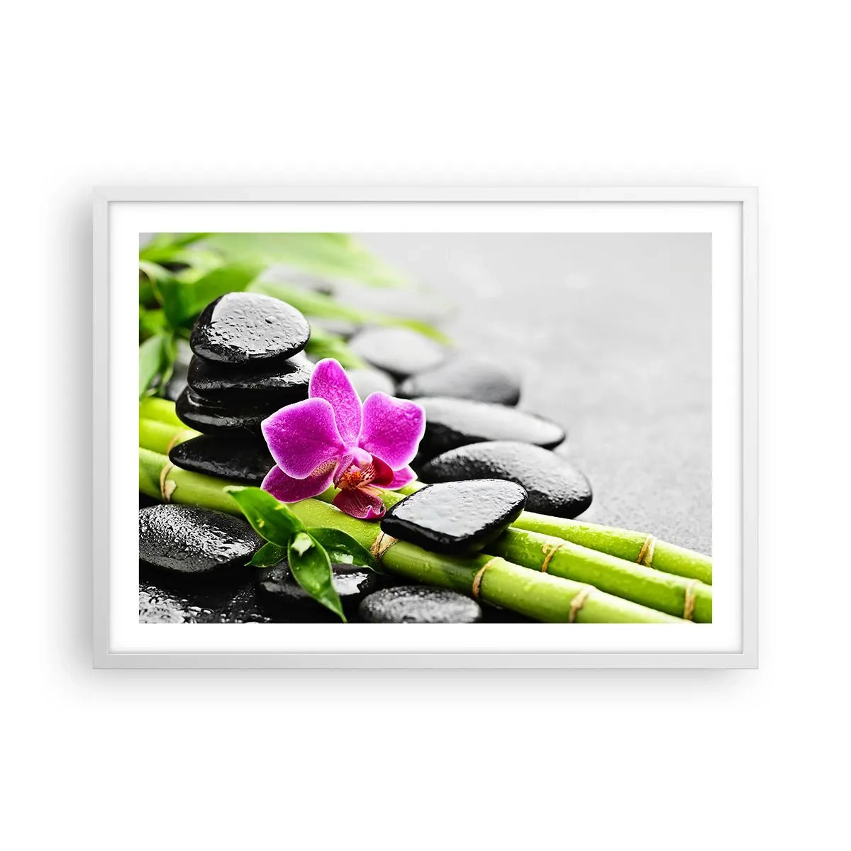 Affisch i vit ram - Lugn balans - 70x50 cm