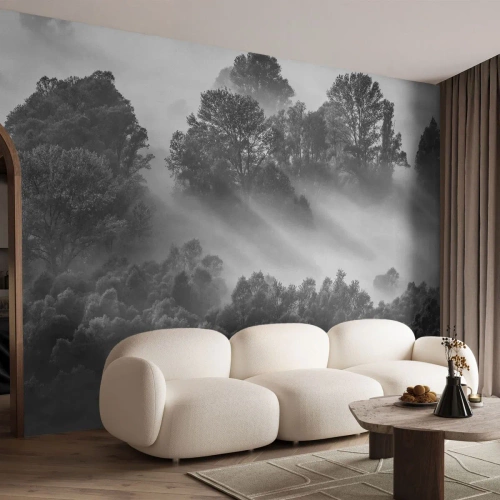Fototapet Premium Canvas - Stiger ur sömnen - Landskap, Skog, Dimma - 400x280 cm