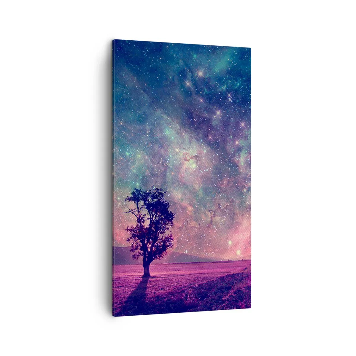 Canvastavla - Bild på duk - Under magisk himmel - 45x80 cm