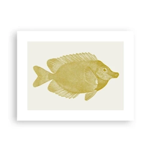 Affisch - Fisk och det är allt - 40x30 cm
