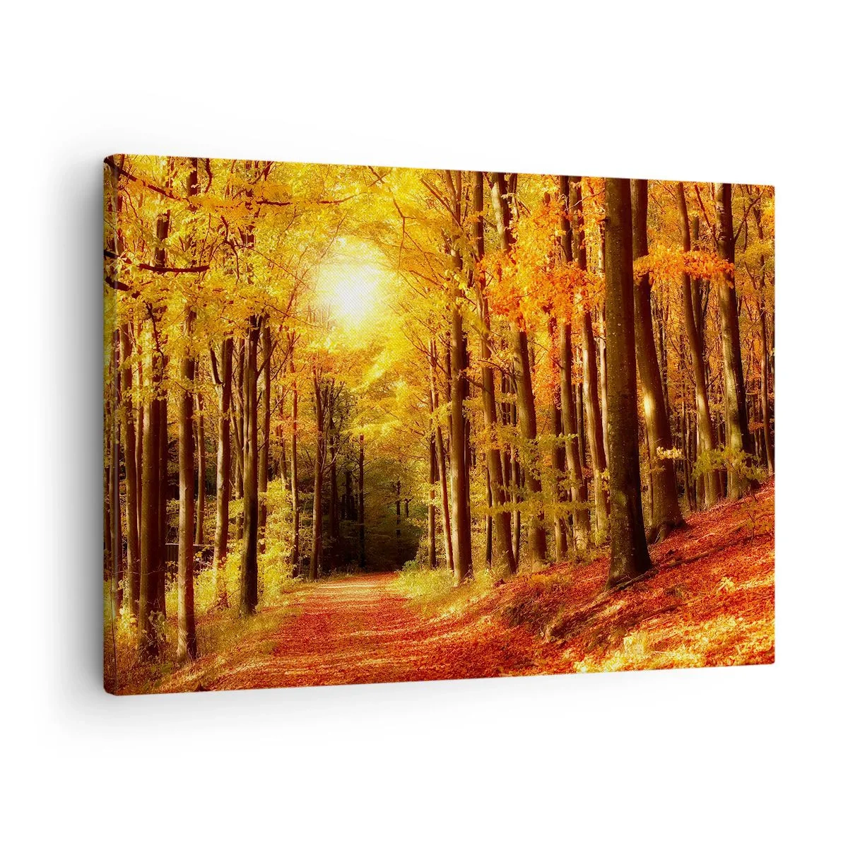 Canvastavla - Bild på duk - Höstskog med solstrålar som lyser genom träden - 70x50cm - Gyllene höst på en skogsväg - Modern väggdekoration för vardagsrum och sovrum ARTTOR