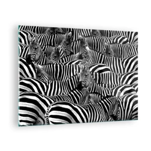 Glastavla - Bild på glas - En flock zebror i monokrom - 70x50cm - Randig grupporträtt - Modern väggdekoration för vardagsrum och sovrum ARTTOR