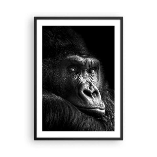 Affisch i svart ram - Porträtt av en gorilla mot en svart bakgrund i livfulla detaljer - 50x70cm - Varför glor du? - Modern väggdekoration för vardagsrum och sovrum ARTTOR