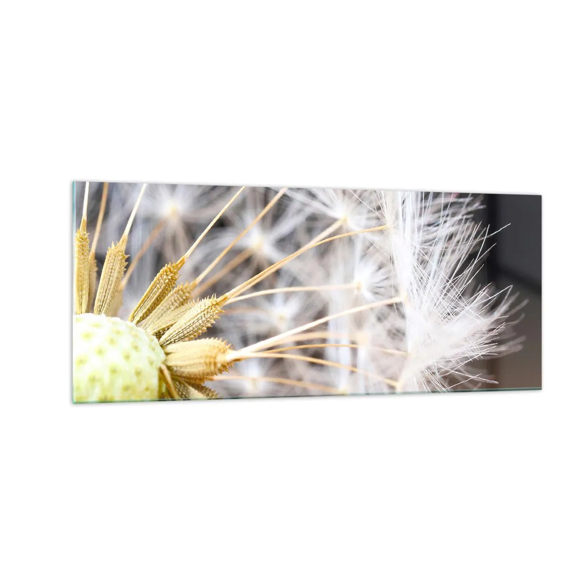 Glastavla - Bild på glas - Klar att lyfta - 100x40 cm