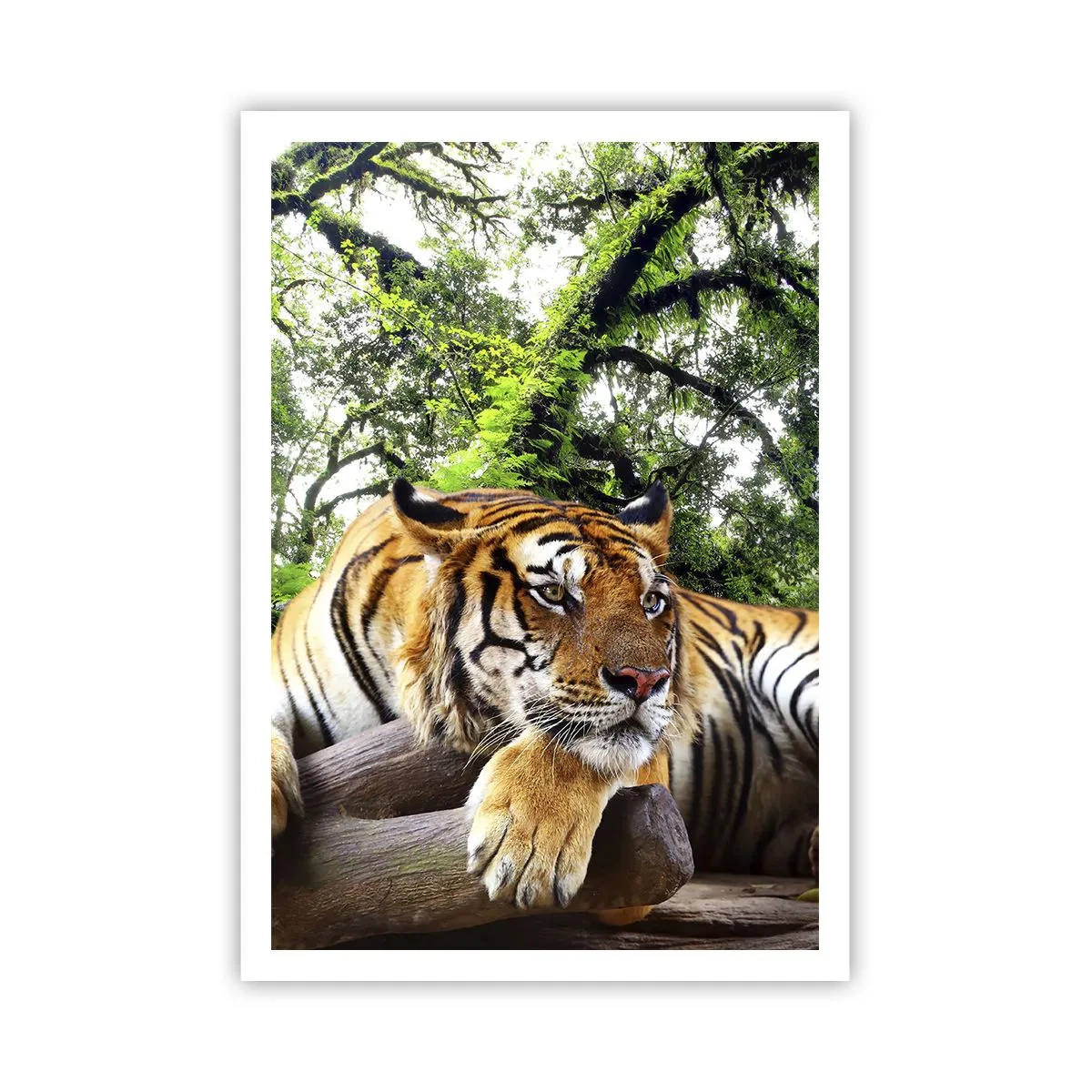 Affisch - Med vänlig hälsning - 70x100 cm